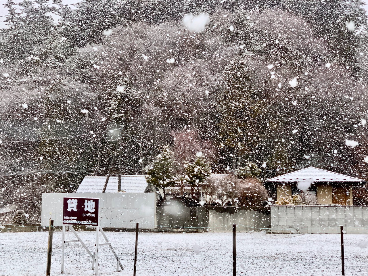 エ びっくり 雪です 富士協生果樹農園