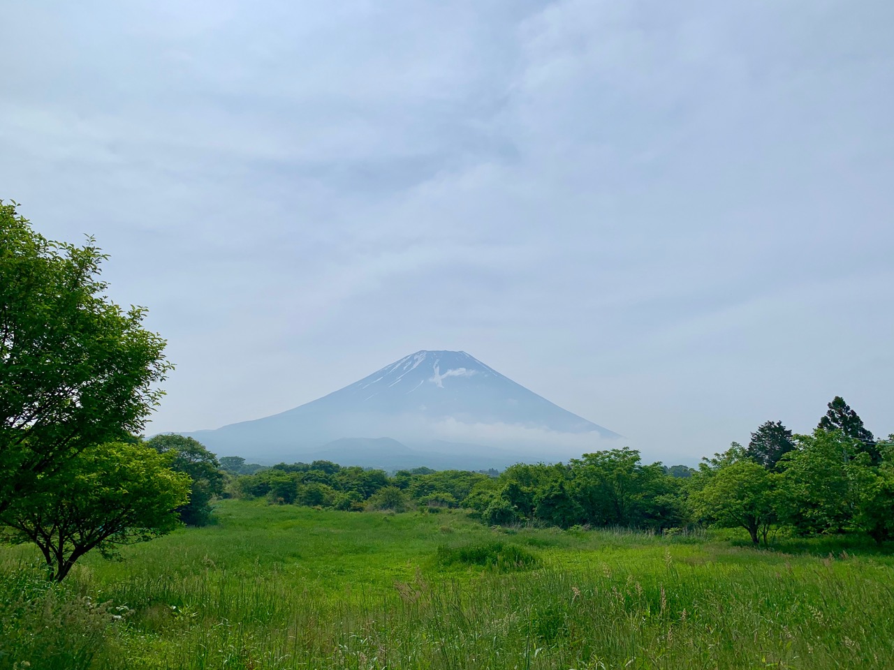 自然の美しさは完璧です 富士協生果樹農園