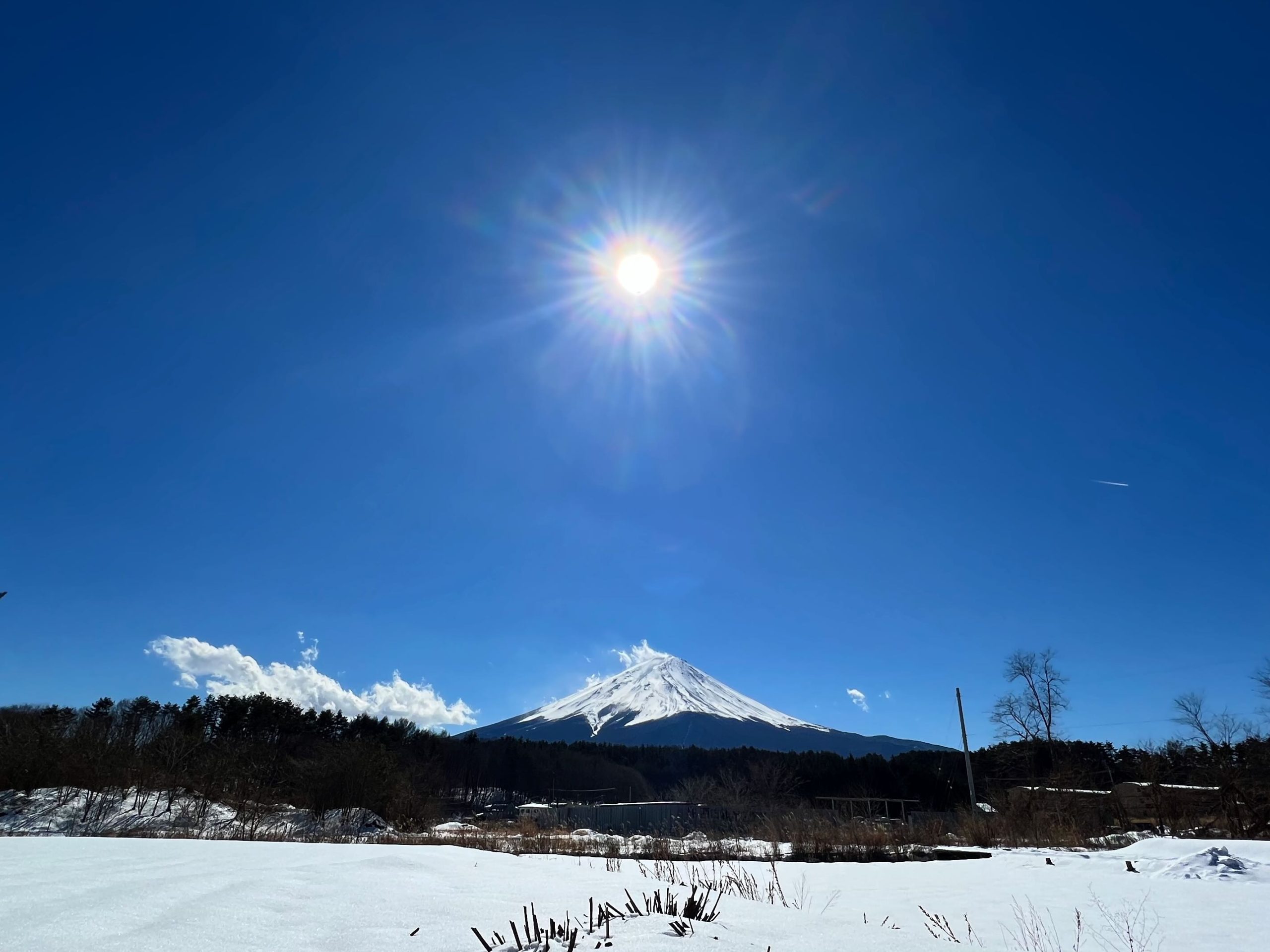 富士山と太陽 | 富士協生農園