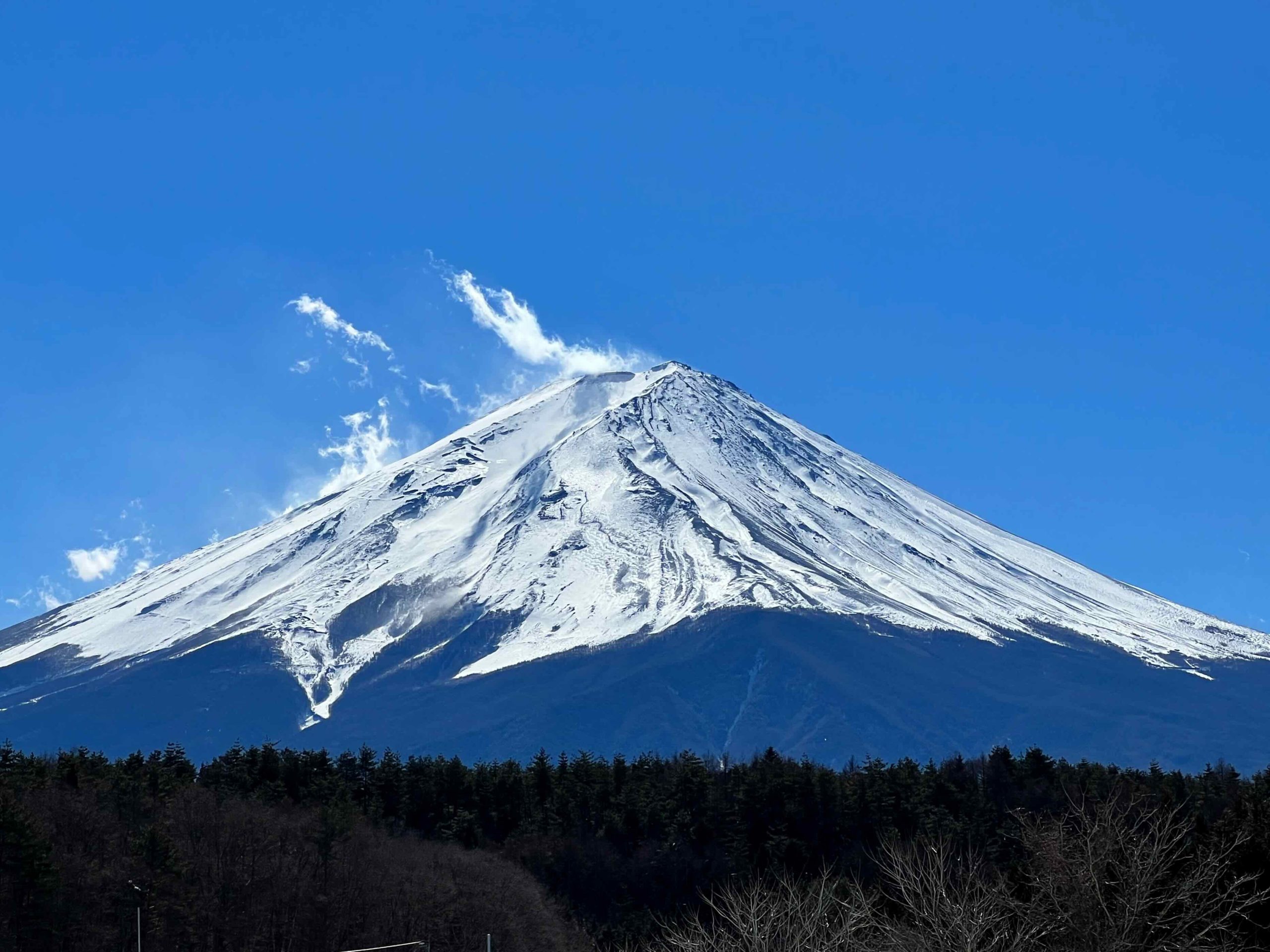 富士山と太陽 | 富士協生農園